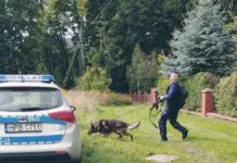 Szczęśliwy finał poszukiwań zaginionej 27- latki