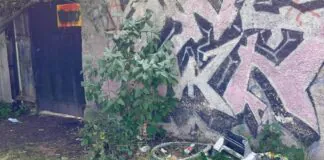 Gdzie mieszkańcy Lwówka Śląskiego wyrzucają śmieci?