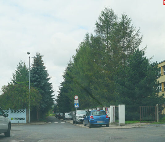 Jest przetarg na przebudowę ulic Jana Pawła II, Sikorskiego i Kościuszki wycinka drzew Jana Pawłą II Lwówek Śląski szkoła 1