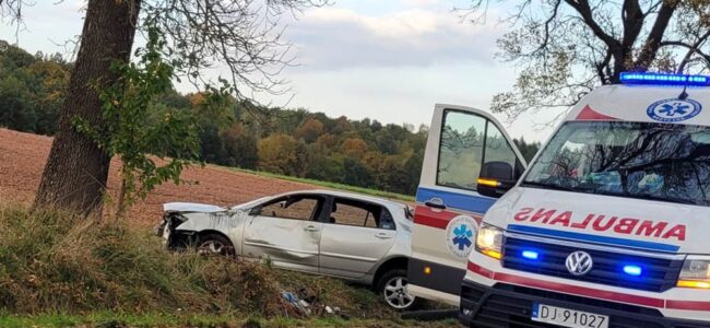 Wypadek na drodze pomiędzy Lwówkiem Śląskim a Gryfowem Śląskim