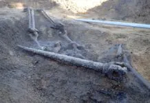 archeolodzy pomost Kotliska