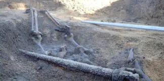 Odkryli trzy groby niemieckich żołnierzy archeolodzy pomost Kotliska