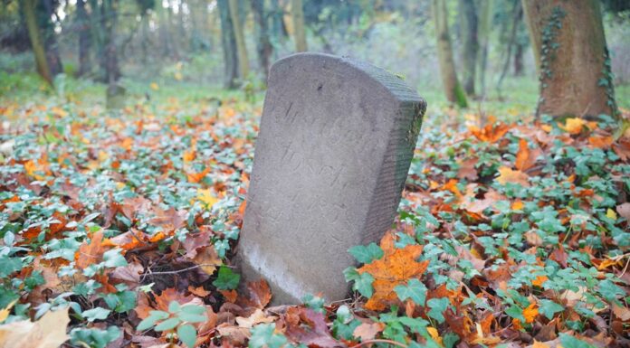 cmentarz ewangelicki w Płakowicach - Lwówku Śląskim