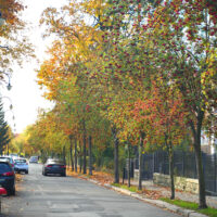 ulica Jana Pawła II w Lwówku Śląskim