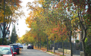 ulica Jana Pawła II w Lwówku Śląskim