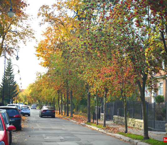 Rządowy Fundusz Rozwoju Dróg – wyniki ulica Jana Pawła II w Lwówku Śląskim
