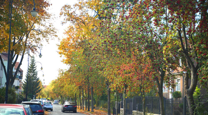 ulica Jana Pawła II w Lwówku Śląskim