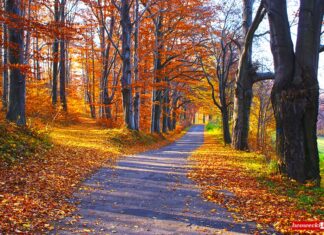 Klecza droga jesień Wleń