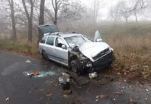 Wjechał w drzewo. Był pijany
