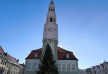 Choinka już zdobi gryfowski rynek