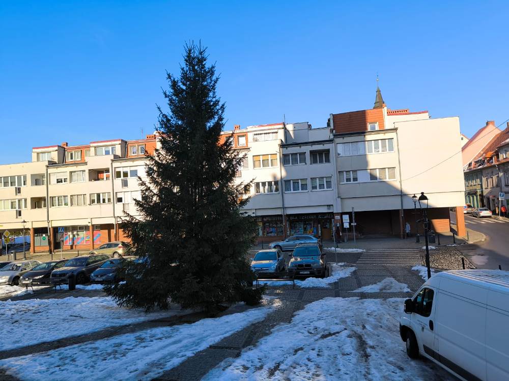 Choinka już zdobi gryfowski rynek