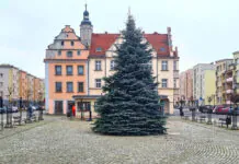 Na lwóweckim rynku stanęła choinka