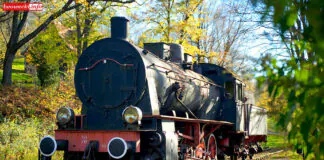lokomotywa pociąg kolej tory świeradów Tp4
