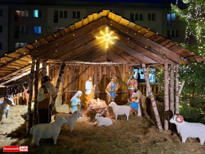 szopka lwówek 2025 7