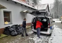 Ze wsparciem dla bezdomnych zwierząt