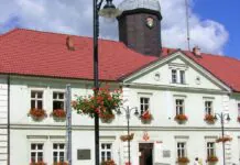 Gmina Leśna