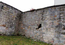 Lwówek mury obronne katastrofa 1