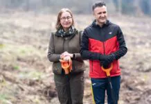 Akcja sadzenia drzew w Powiecie Lwóweckim