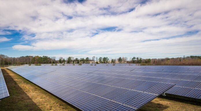 Burmistrz wydał decyzję o warunkach zabudowy dla farmy fotowoltaicznej farma panele fotowoltaika pexels