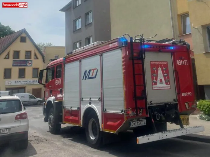 lwówek straż pożarna czujka czadu 1
