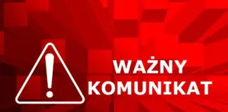 Potężne korki przed granicą. Ważny apel policji, dla wyjeżdżających z kraju