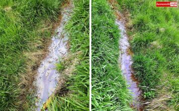 Zanieczyszczenie środowiska? Burmistrz uspokaja. WIOŚ … prowadzi czynności