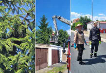 (Nie)typowa akcja lwóweckich strażaków