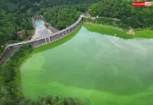 Jezioro Pilchowickie opanowały sinice. Mogą zagrażać zdrowiu i życiu. WIDEO Jezioro Pilchowickie sinice zielenice