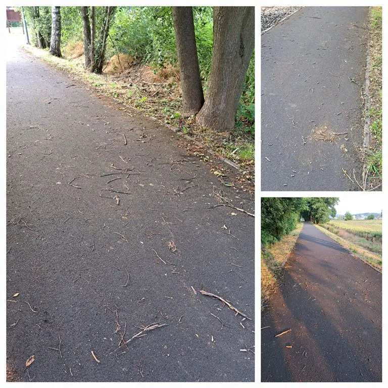 Mojesz ścieżka rowerowa