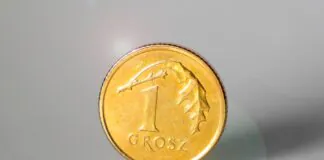 moneta grosz