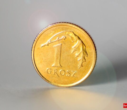 moneta grosz