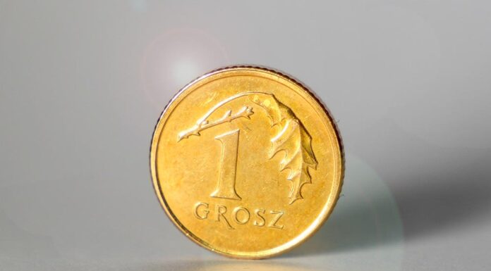 moneta grosz