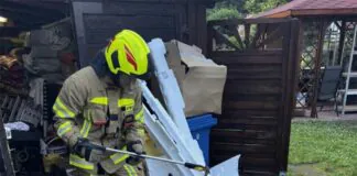 osp szklarska wąż zaskroniec straż