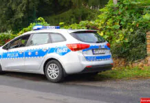 Policjanci pomogli rannemu psu