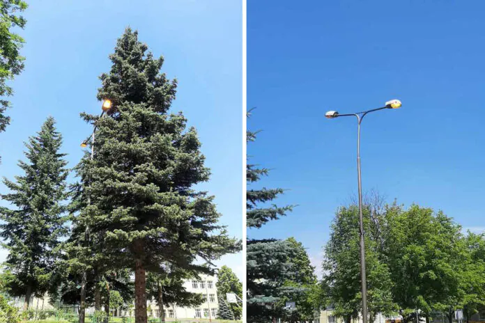 śweiradów lampy
