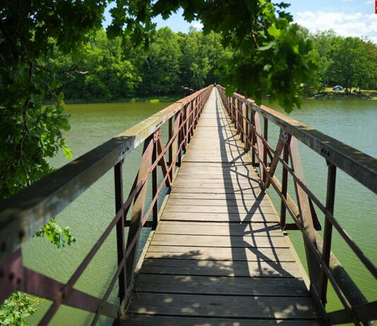 zakwit wody sinice na jeziorze złotnickim 07