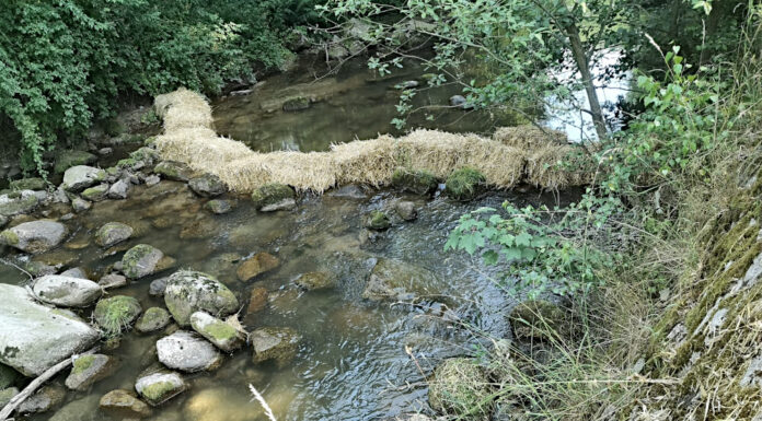 Wypadek autobusu przyczyną zanieczyszczenia potoku Czerwień