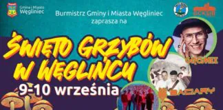 Program Święta Grzybów w Węglińcu