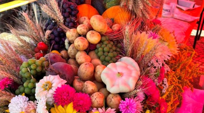 Pokazali przywiązanie do rolniczych tradycji