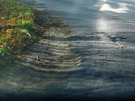 Jeszcze jedna droga powiatowa do remontu