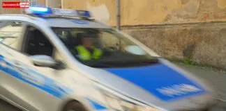 policjanci