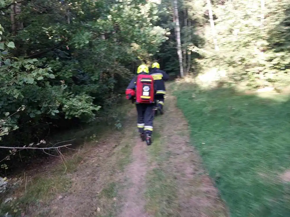 wypadek single track zajaczek swieradow 2