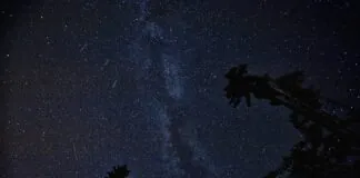 droga mleczna gwizdy perseidy park ciemnego nieba