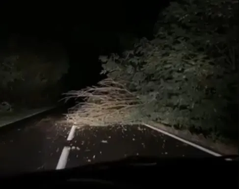 Strażacy walczą ze skutkami wichury 1 drzewo bielanka