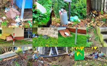 Lwówek Śląski tonie w śmieciach – cz. 4