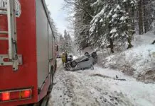 Dachowanie na drodze wojewódzkiej. Kobieta w ciąży trafiła do szpitala