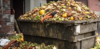 WIOŚ sprawdza, kto marnuje żywność