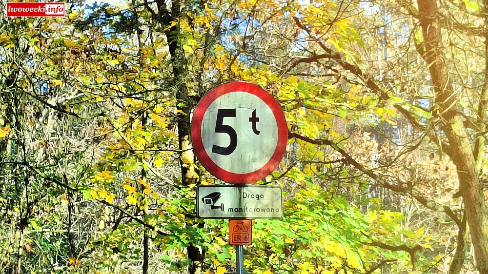 kopalina Rakowiczki Rakowice Male Lwowek Slaski 07