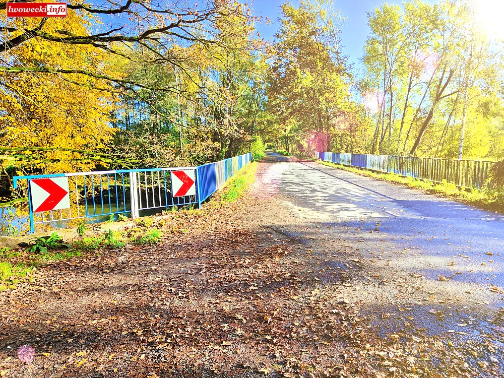 kopalina Rakowiczki Rakowice Male Lwowek Slaski 09