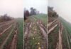 off road pole zniszczone cross